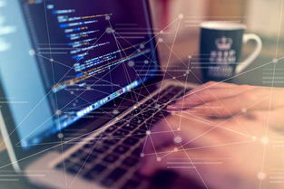 自助建站五步走，輕松掌握技術開發核心