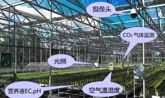 前沿探索 網絡技術驅動下現代智慧農業發展的五大趨勢